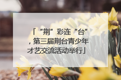 “荆”彩连“台”，第三届荆台青少年才艺交流活动举行