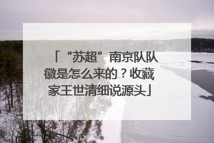 “苏超”南京队队徽是怎么来的？收藏家王世清细说源头