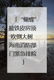 “蝴蝶”掀铁皮房顶吹倒大树 海南消防部门紧急排险
