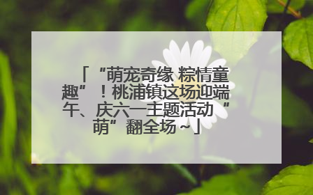 “萌宠奇缘 粽情童趣”！桃浦镇这场迎端午、庆六一主题活动“萌”翻全场～