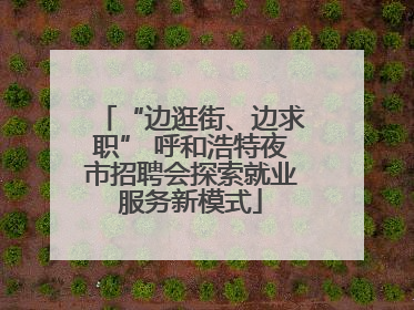 “边逛街、边求职” 呼和浩特夜市招聘会探索就业服务新模式