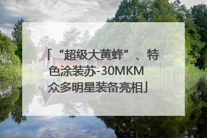 “超级大黄蜂”、特色涂装苏-30MKM 众多明星装备亮相