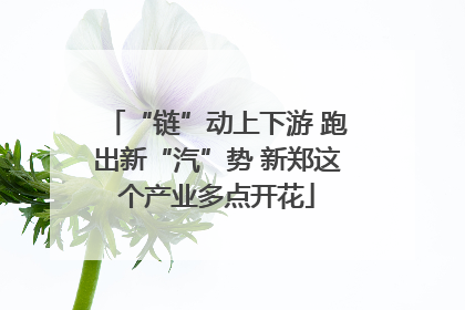 “链”动上下游 跑出新“汽”势 新郑这个产业多点开花