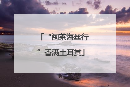 “闽茶海丝行”香满土耳其