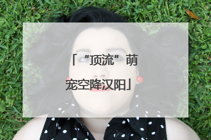 “顶流”萌宠空降汉阳