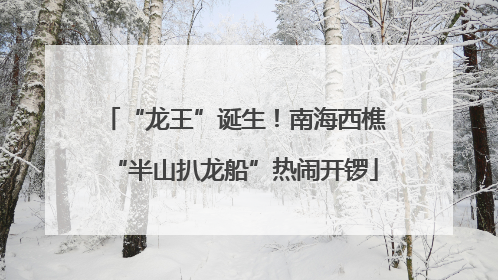 “龙王”诞生！南海西樵“半山扒龙船”热闹开锣