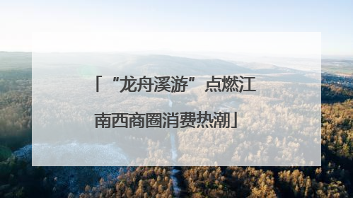 “龙舟溪游”点燃江南西商圈消费热潮