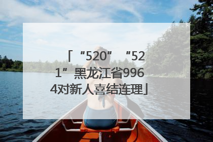 “520”“521”黑龙江省9964对新人喜结连理