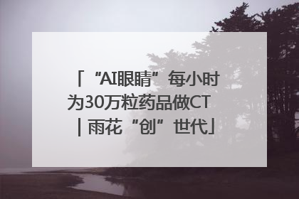 “AI眼睛”每小时为30万粒药品做CT｜雨花“创”世代