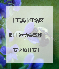 玉溪市红塔区职工运动会篮球赛火热开赛