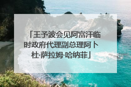 王予波会见阿富汗临时政府代理副总理阿卜杜·萨拉姆·哈纳菲