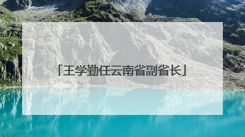 王学勤任云南省副省长