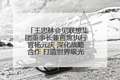 王忠林会见联想集团董事长兼首席执行官杨元庆 深化战略合作 打造世界级光电子信息产业集群