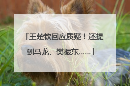 王楚钦回应质疑！还提到马龙、樊振东……