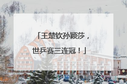 王楚钦孙颖莎，世乒赛三连冠！
