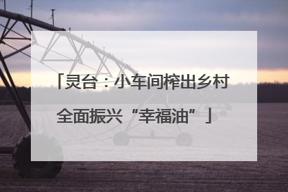 灵台：小车间榨出乡村全面振兴“幸福油”