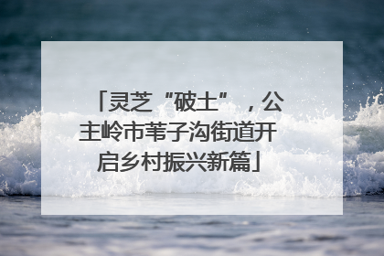 灵芝“破土”，公主岭市苇子沟街道开启乡村振兴新篇