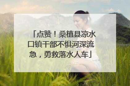 点赞！桑植县凉水口镇干部不惧河深流急，勇救落水人车