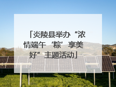 炎陵县举办“浓情端午‘粽’享美好”主题活动