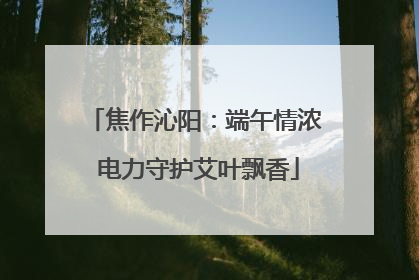 焦作沁阳：端午情浓 电力守护艾叶飘香