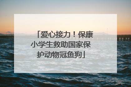 爱心接力！保康小学生救助国家保护动物冠鱼狗