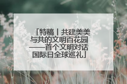 特稿丨共建美美与共的文明百花园——首个文明对话国际日全球巡礼