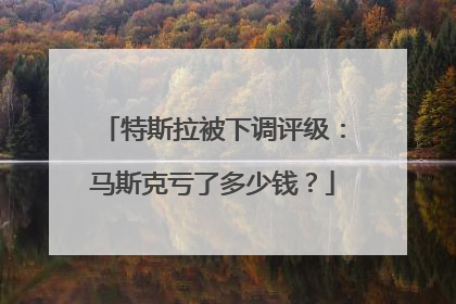 特斯拉被下调评级：马斯克亏了多少钱？