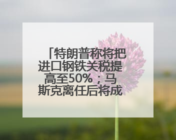 特朗普称将把进口钢铁关税提高至50%；马斯克离任后将成总统顾问；永辉超市及其董事长，被限制高消费；比亚迪回应“汽车圈恒大”丨每经早参