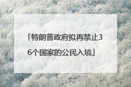 特朗普政府拟再禁止36个国家的公民入境