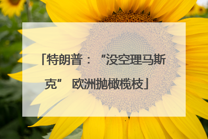 特朗普：“没空理马斯克” 欧洲抛橄榄枝