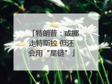特朗普：或挪走特斯拉 但还会用“星链”