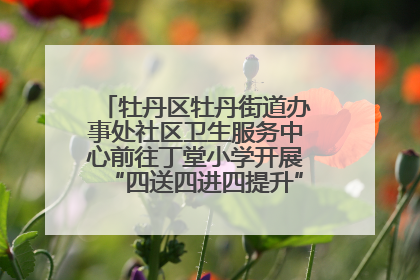 牡丹区牡丹街道办事处社区卫生服务中心前往丁堂小学开展“四送四进四提升”及无烟日宣传活动