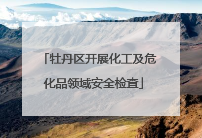 牡丹区开展化工及危化品领域安全检查