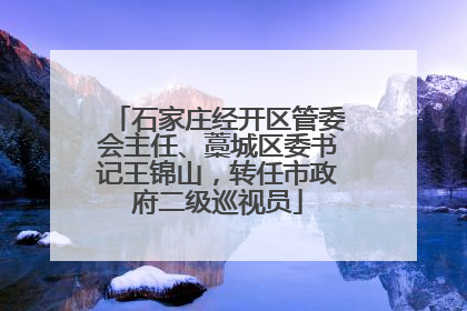 石家庄经开区管委会主任、藁城区委书记王锦山，转任市政府二级巡视员