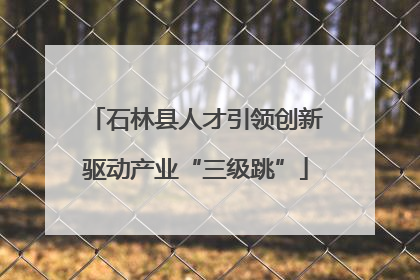 石林县人才引领创新驱动产业“三级跳”