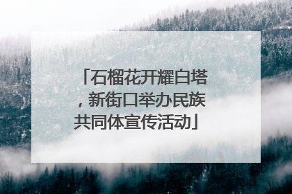 石榴花开耀白塔，新街口举办民族共同体宣传活动
