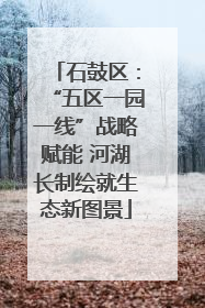 石鼓区：“五区一园一线”战略赋能 河湖长制绘就生态新图景