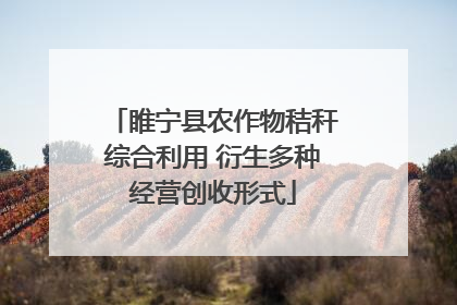 睢宁县农作物秸秆综合利用 衍生多种经营创收形式