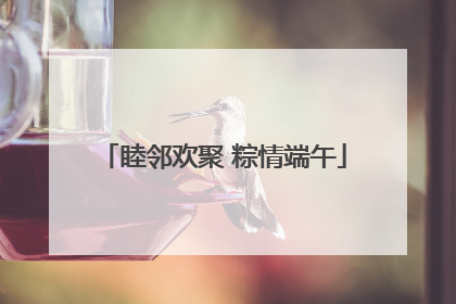 睦邻欢聚 粽情端午