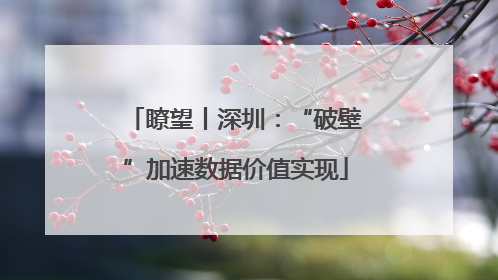 瞭望丨深圳：“破壁”加速数据价值实现