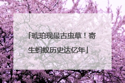 琥珀现最古虫草！寄生蚂蚁历史达亿年
