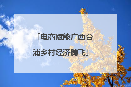 电商赋能广西合浦乡村经济腾飞