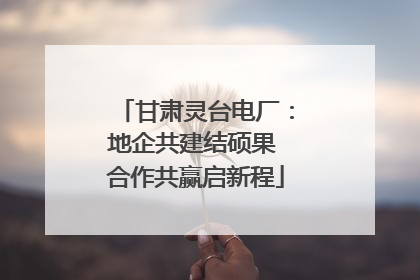 甘肃灵台电厂：地企共建结硕果 合作共赢启新程