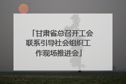 甘肃省总召开工会联系引导社会组织工作现场推进会
