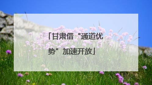 甘肃借“通道优势”加速开放