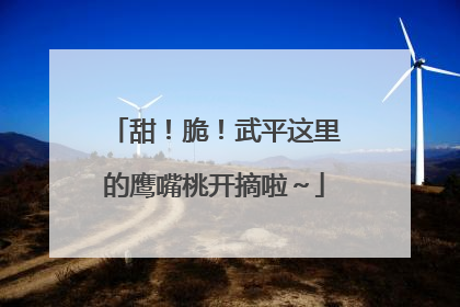 甜！脆！武平这里的鹰嘴桃开摘啦～