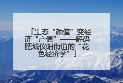 生态“颜值”变经济“产值”——解码肥城仪阳街道的“花色经济学”