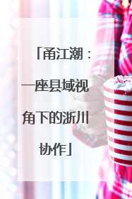 甬江潮：一座县域视角下的浙川协作