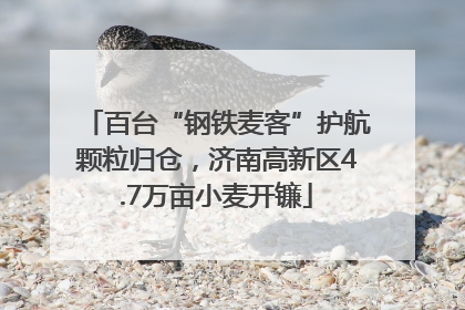 百台“钢铁麦客”护航颗粒归仓，济南高新区4.7万亩小麦开镰