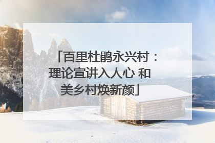 百里杜鹃永兴村：理论宣讲入人心 和美乡村焕新颜